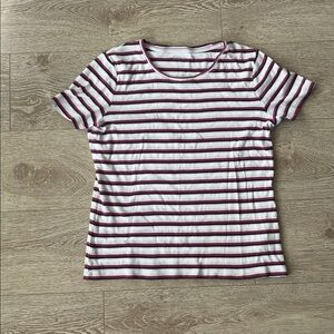 Vintage Northern Reflections Size L Purple and Pink Striped Short Sleeve T-Shirt